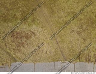 Photo Textures of Ground Grass